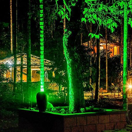 Vythiri Wood House Wayanad 빌라 외부 사진