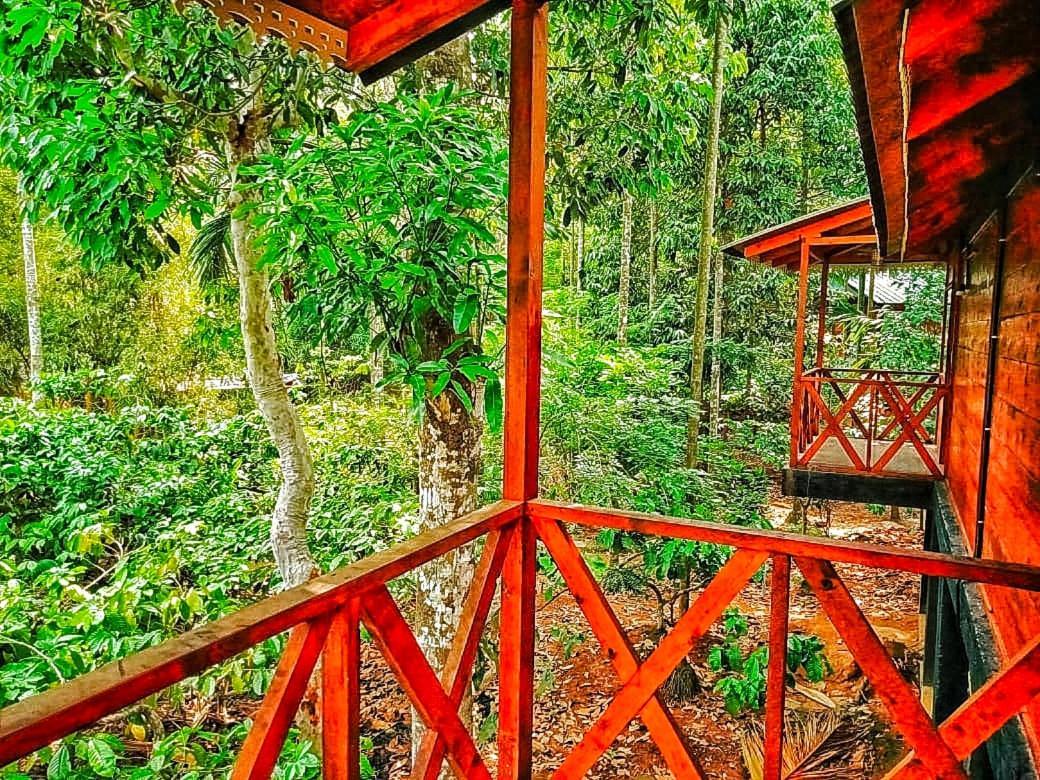 Vythiri Wood House Wayanad 빌라 외부 사진